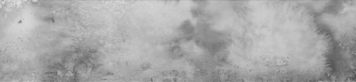 20241227日间的雪，张坤作品